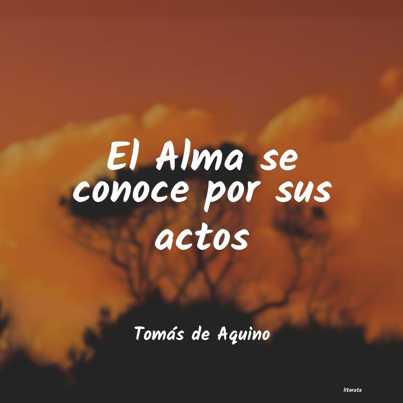 Frases de Tomás de Aquino