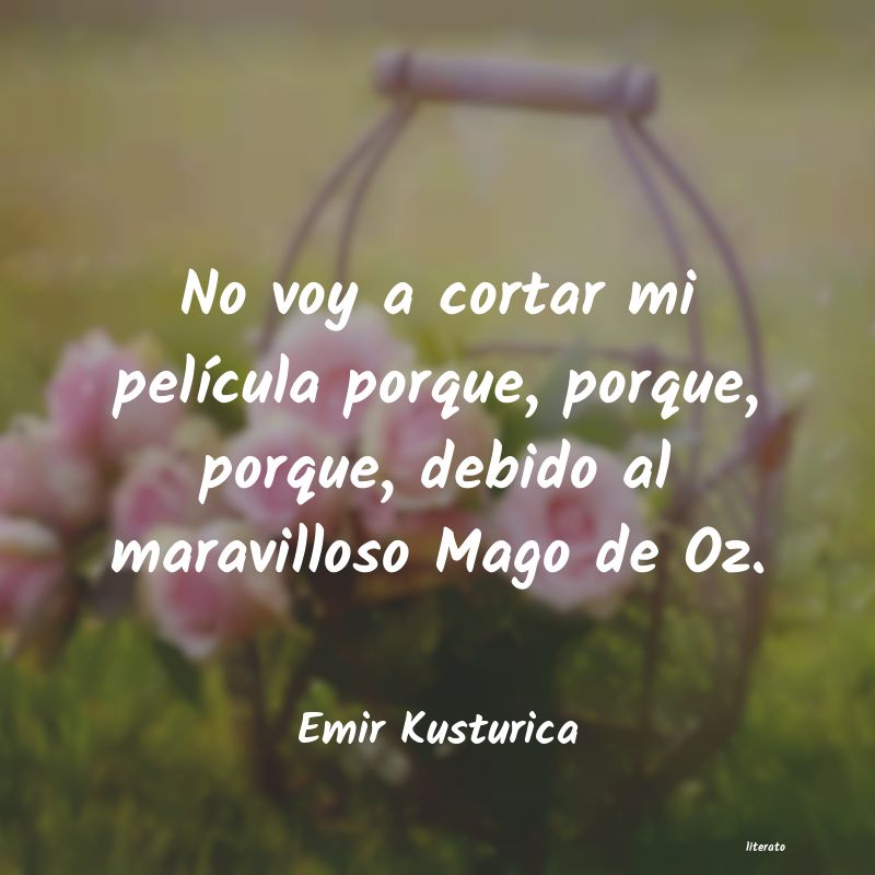 Frases de Emir Kusturica