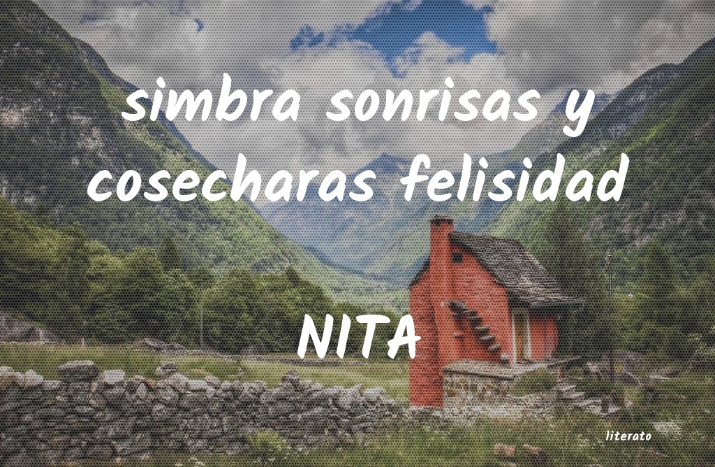 Frases de NITA