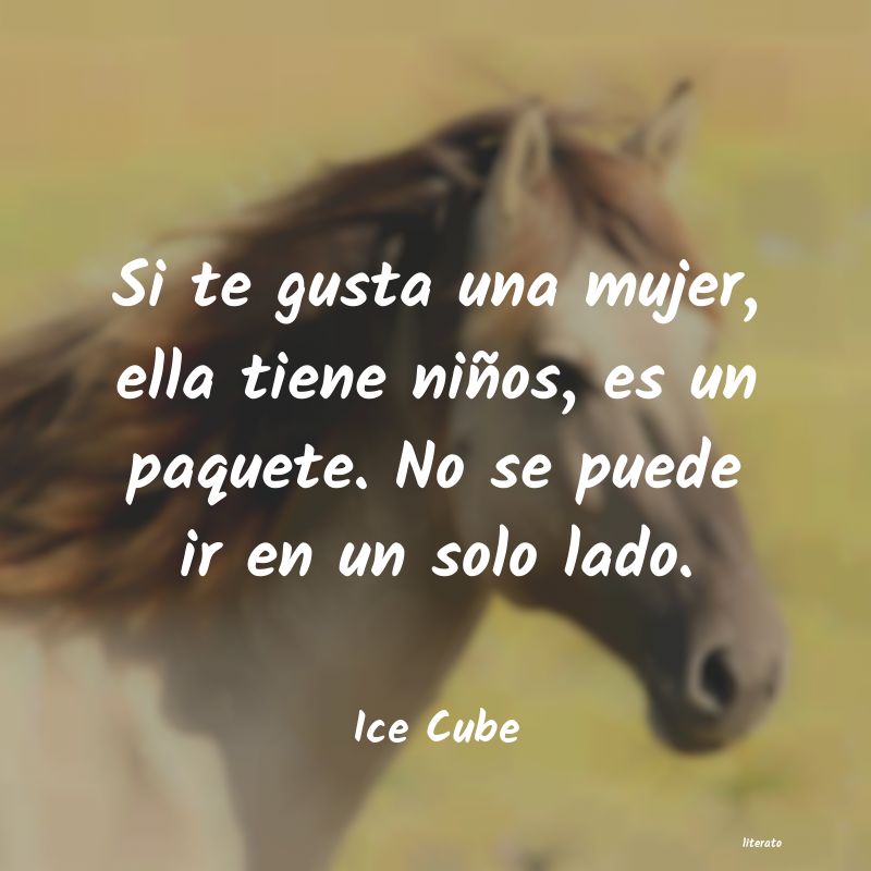 frases de Ice Cube