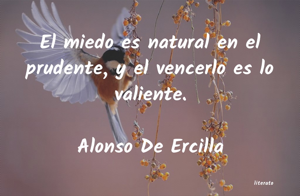 frases de Alonso De Ercilla