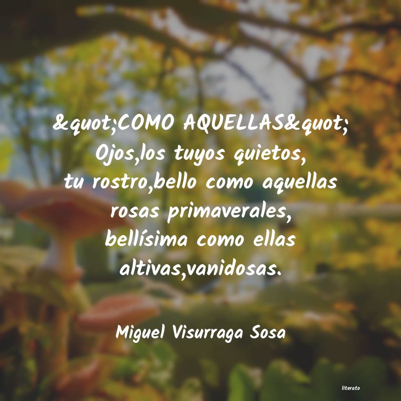 frases de Miguel Visurraga Sosa