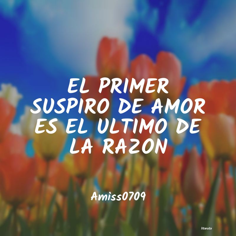 frases de Amiss0709