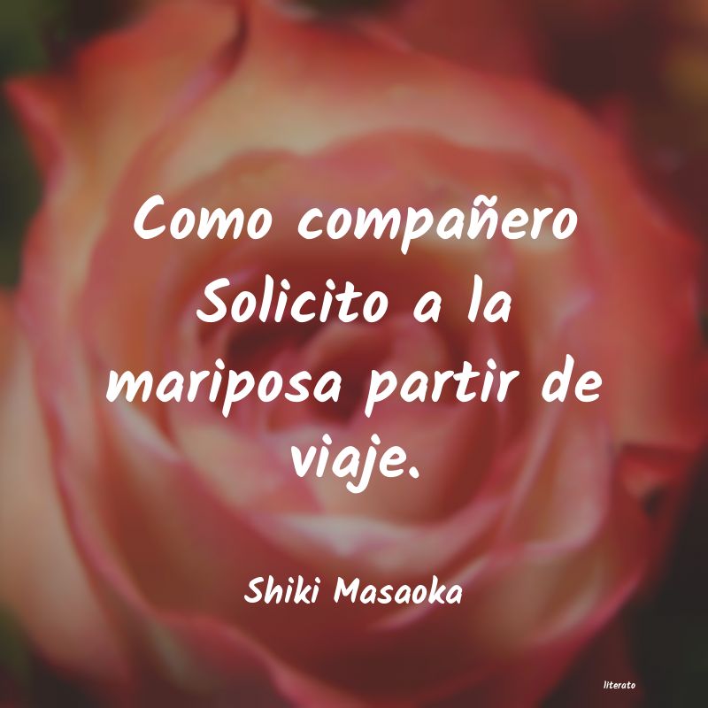 Frases de Shiki Masaoka