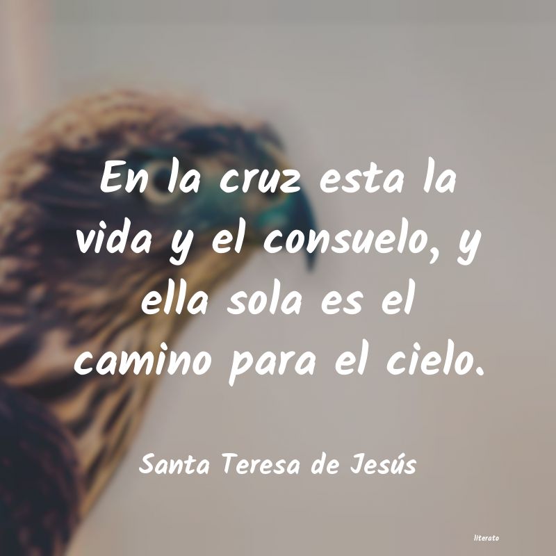 Santa Teresa de Jesús: En la cruz esta la vida y el c