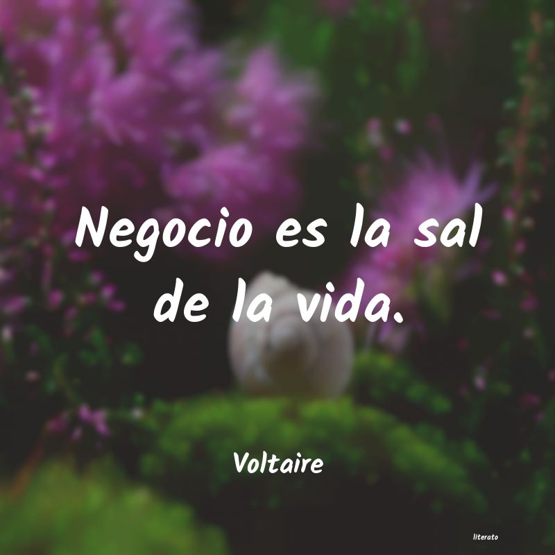 Frases de Voltaire