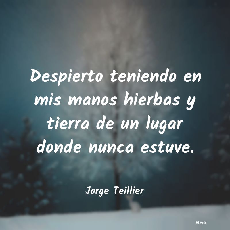 frases de Jorge Teillier