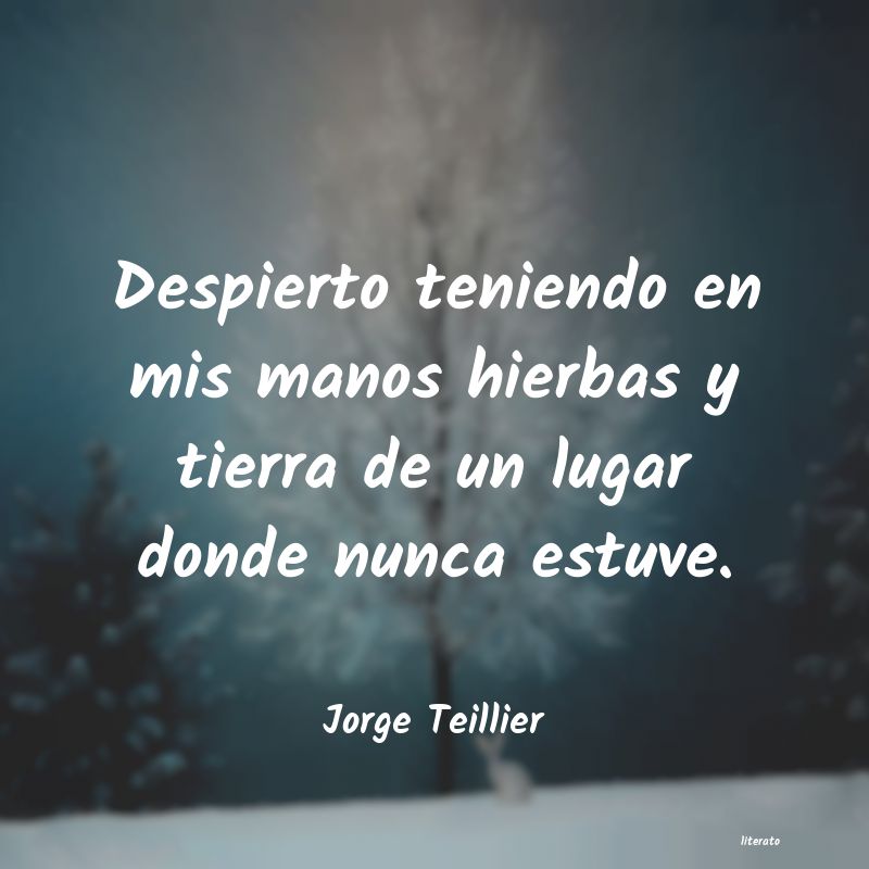 Frases de Jorge Teillier