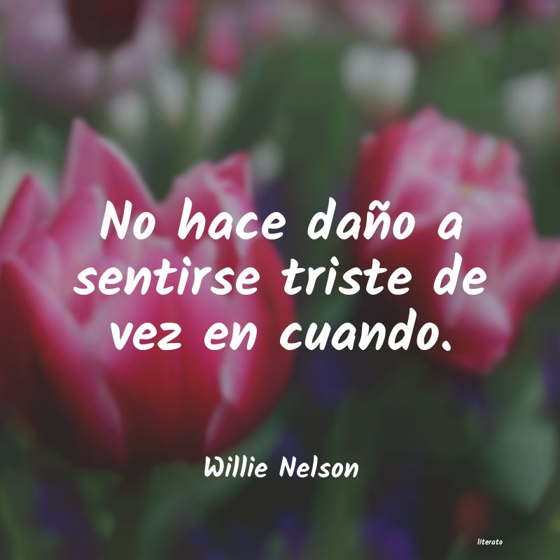 frases de Willie Nelson