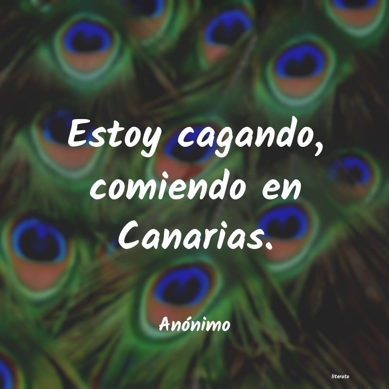 frases