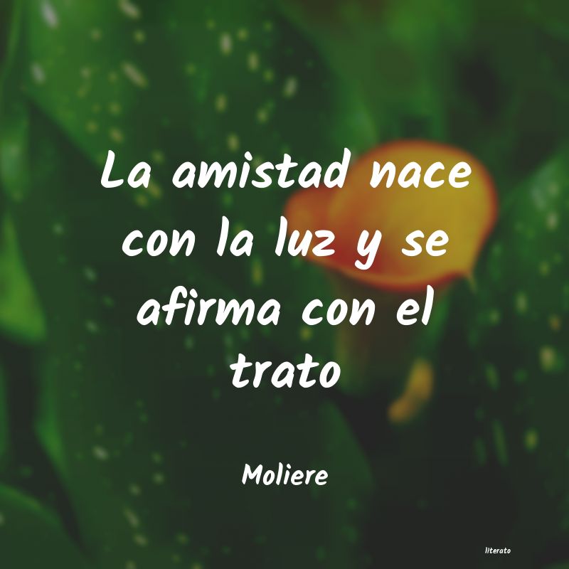 Frases de Moliere