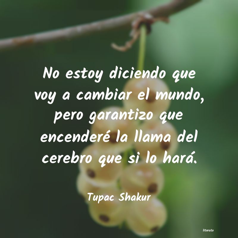 Frases de Tupac Shakur