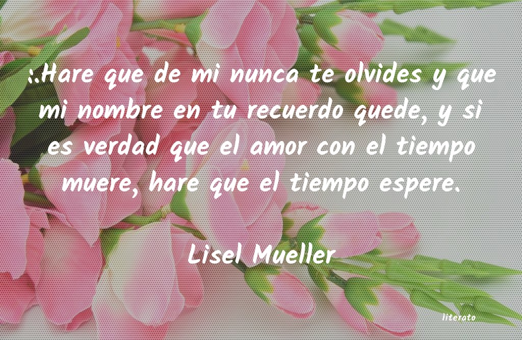 Frases de Lisel Mueller