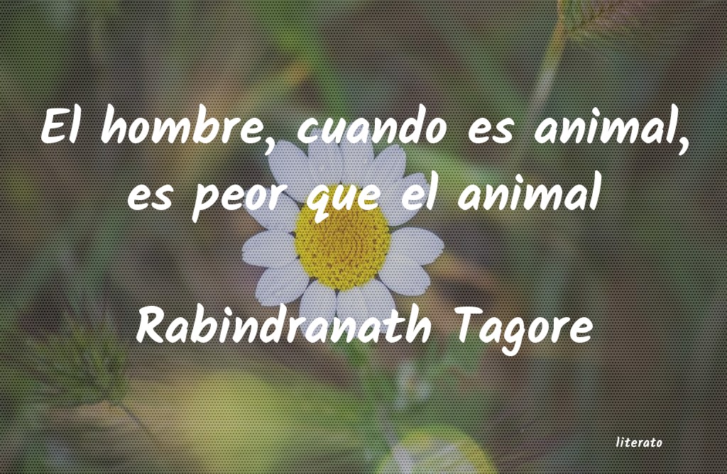 frases de Rabindranath Tagore