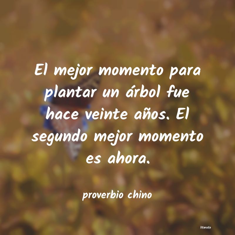 Frases de proverbio chino