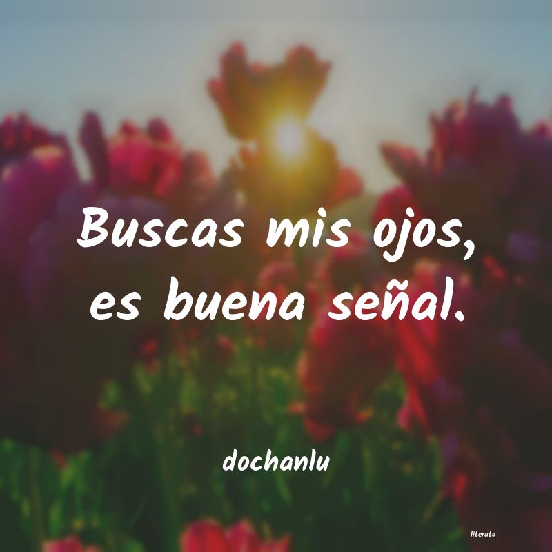 frases de dochanlu