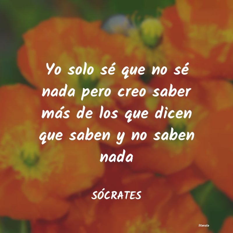 SÓCRATES: Yo solo sé que no sé nada pe