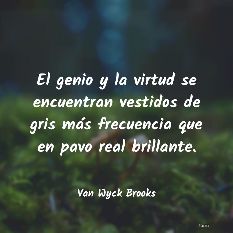 Frases de Van Wyck Brooks