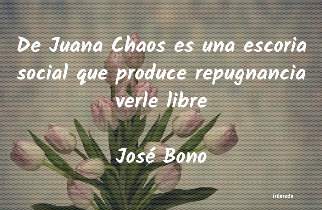 Frases de José Bono