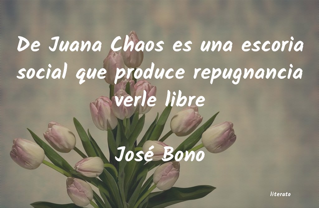 frases de José Bono