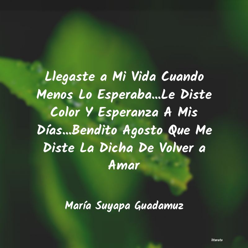 frases de MarÃa Suyapa Guadamuz
