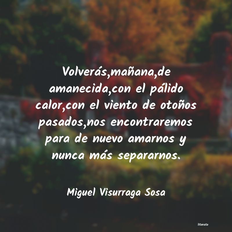 frases de Miguel Visurraga Sosa