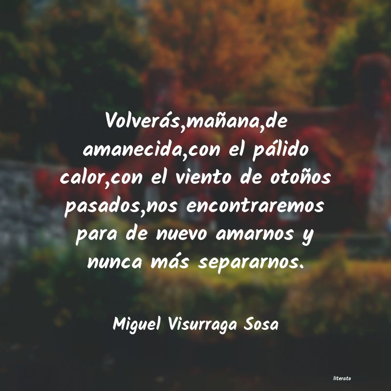 Frases de Miguel Visurraga Sosa