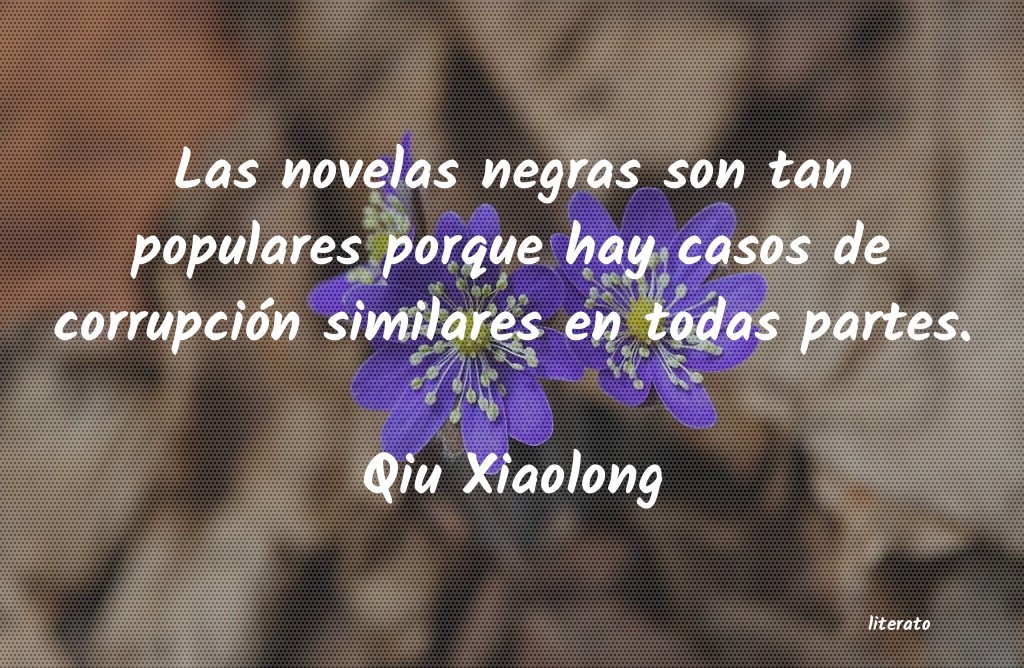 Frases de Qiu Xiaolong