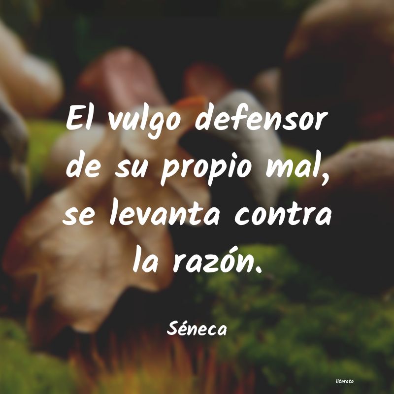 frases contra las adversidades