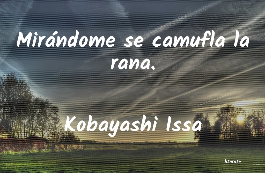 Frases de Kobayashi Issa