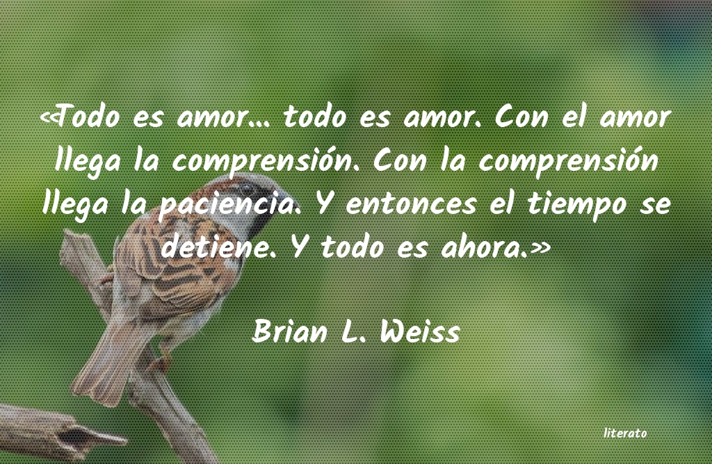 Frases de Brian L. Weiss