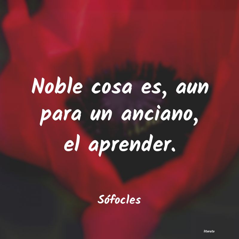 Frases de Sófocles