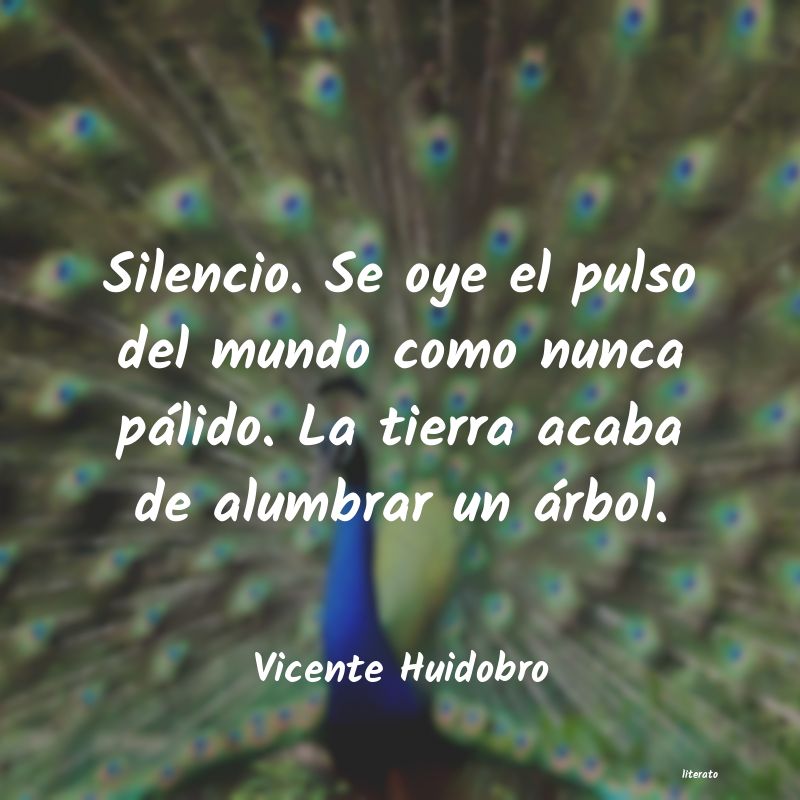 Frases de Vicente Huidobro