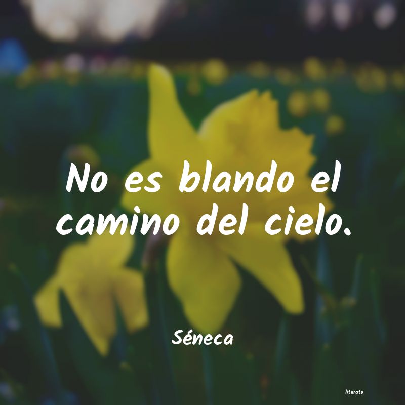 frases de Séneca