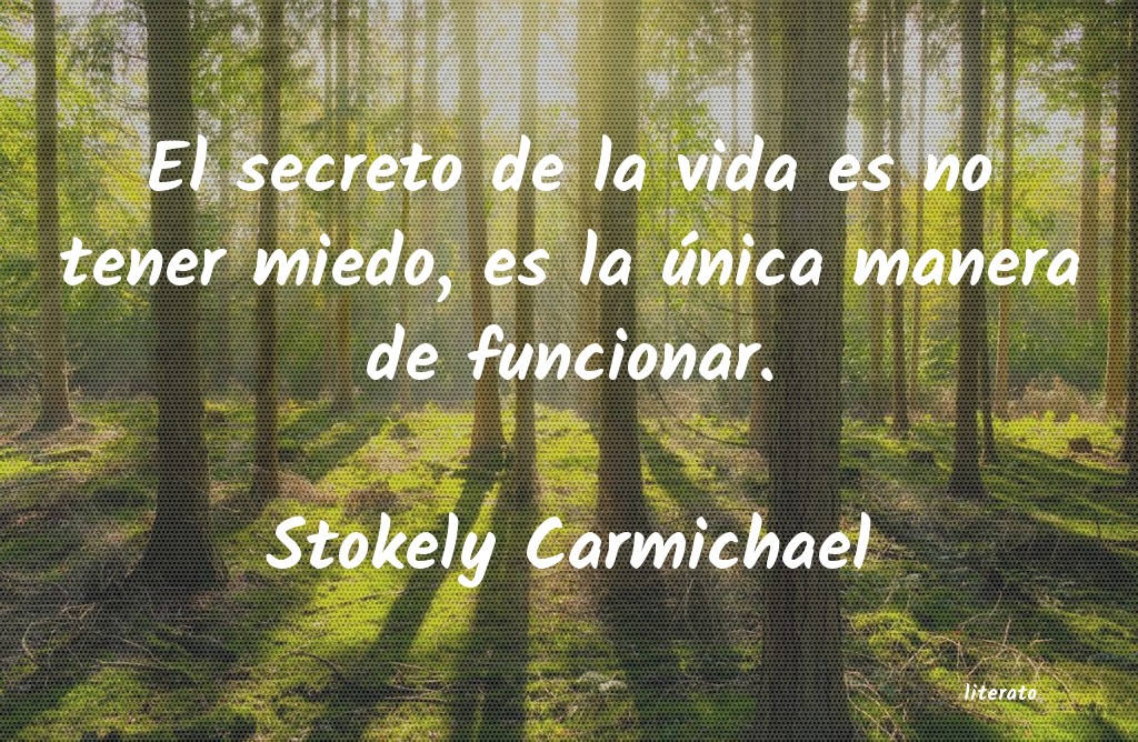 Frases de Stokely Carmichael