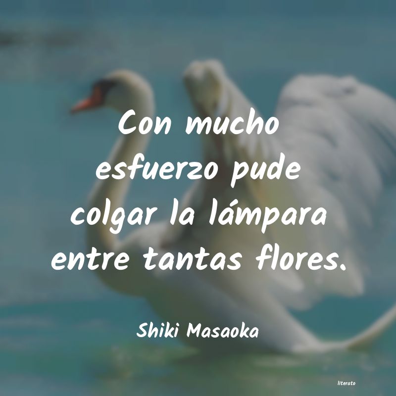 frases de Shiki Masaoka