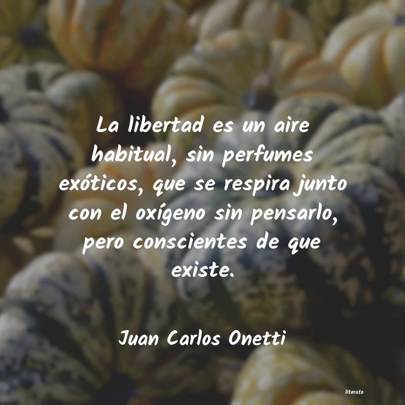 Frases de Juan Carlos Onetti