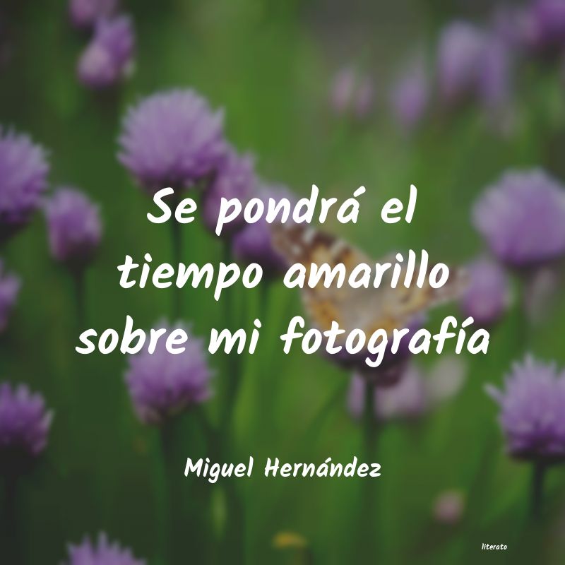 Frases de Miguel Hernández