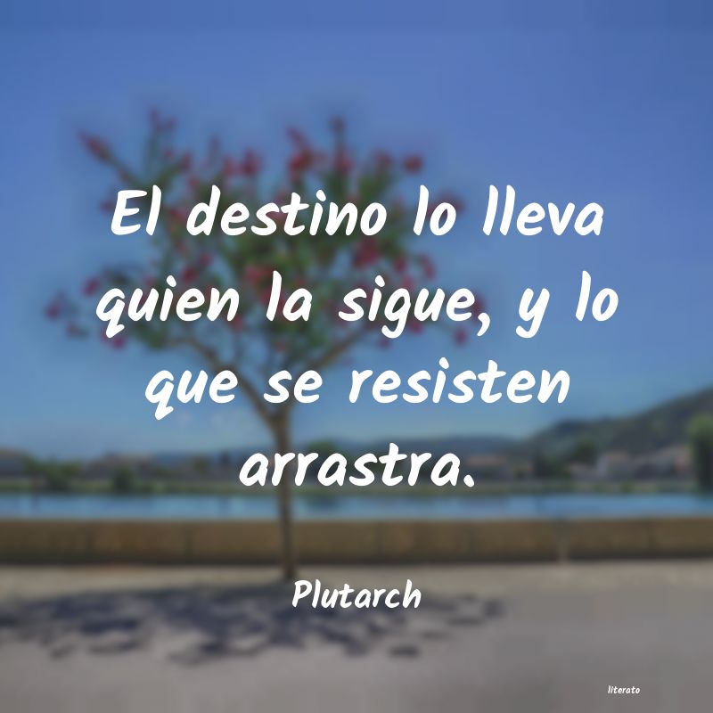 Frases de Plutarch