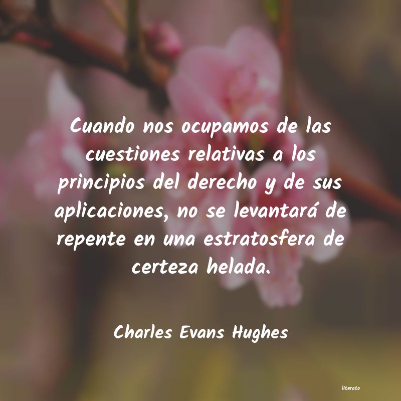 Frases de Charles Evans Hughes