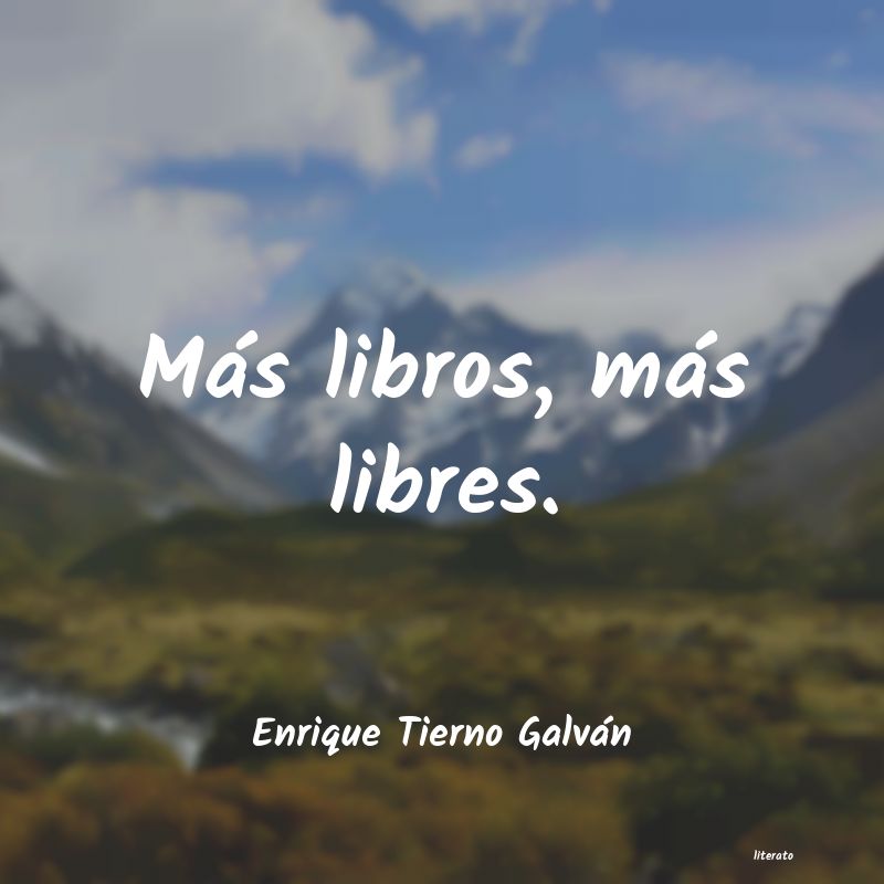 Frases de Enrique Tierno Galván