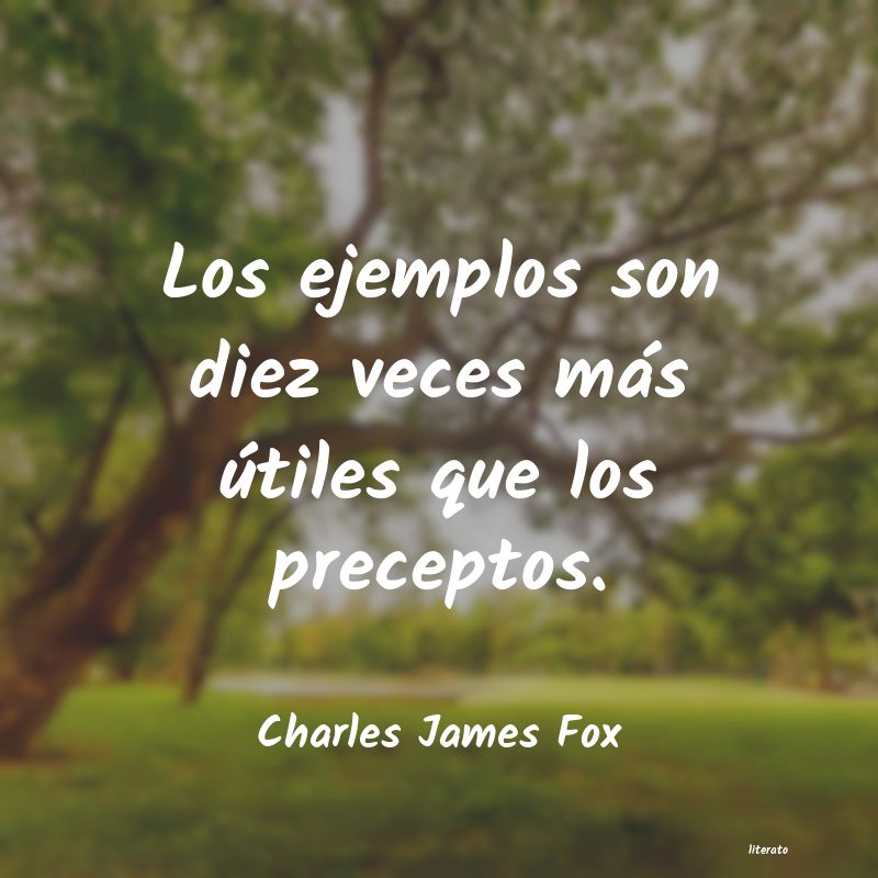 frases de Charles James Fox