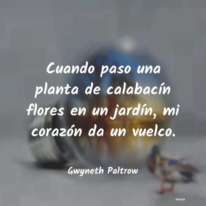 Frases de Gwyneth Paltrow