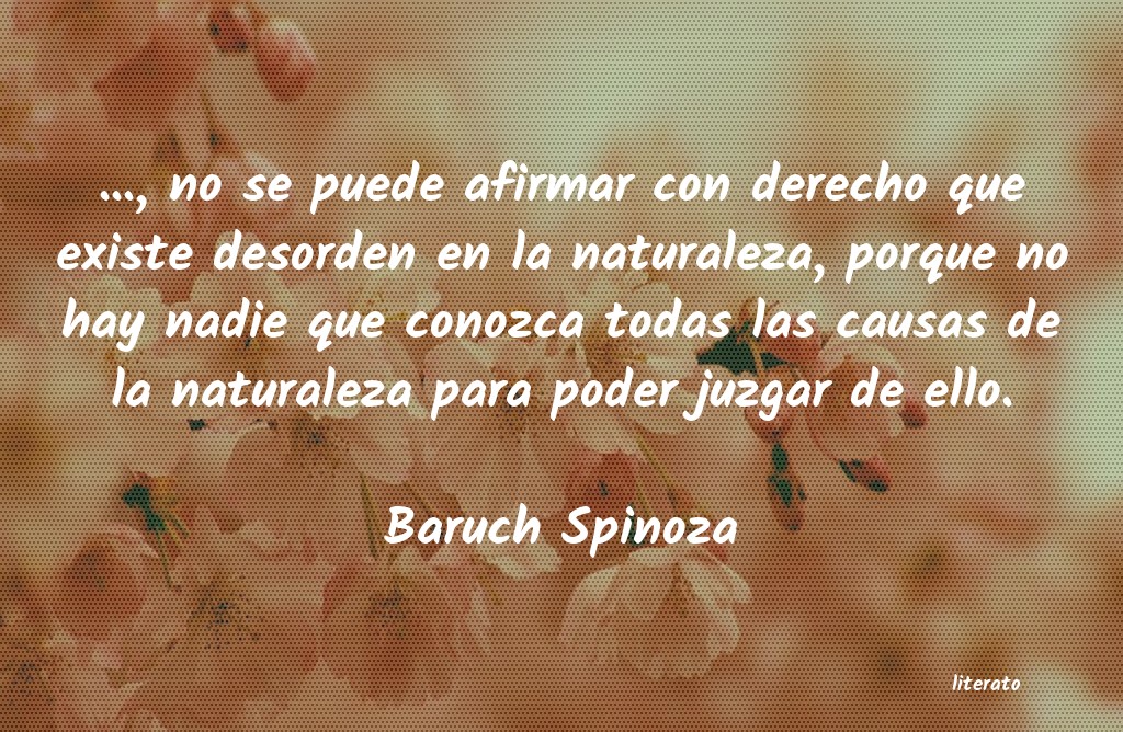 Frases de Baruch Spinoza