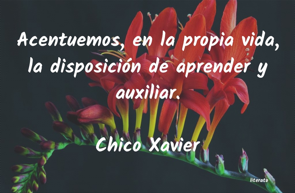 Frases de Chico Xavier