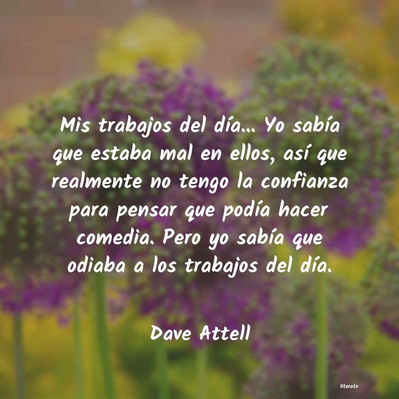 Frases de Dave Attell