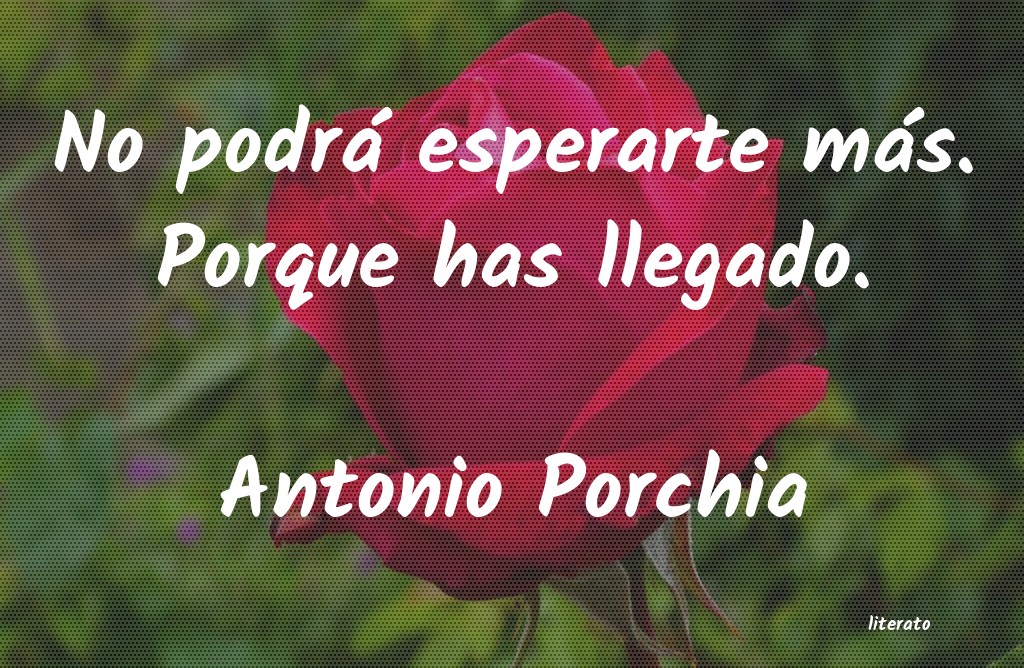 Frases de Antonio Porchia