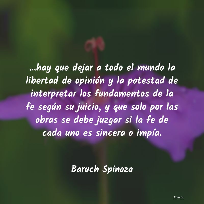 Frases de Baruch Spinoza