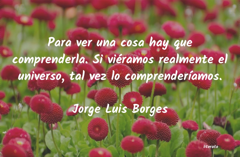 frases de Jorge Luis Borges