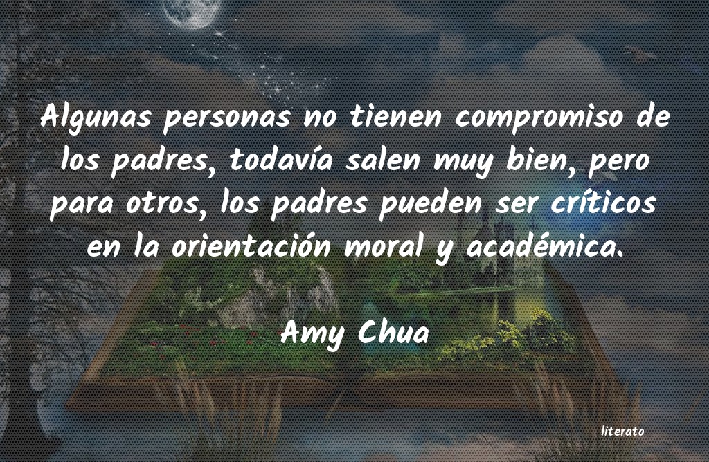 frases de Amy Chua